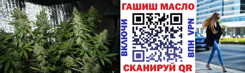 mega маркетплейс  Шенкурск  нарко площадка состав  ТГК концентрат 