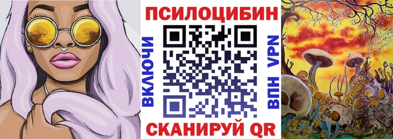 купить   Шенкурск  Псилоцибиновые грибы прущие грибы 
